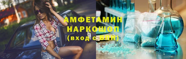 прущие грибы Беломорск