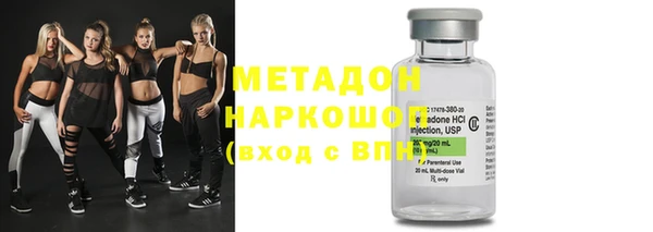 прущие грибы Беломорск