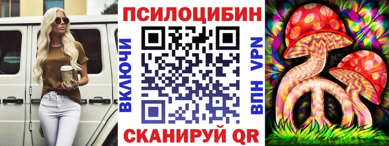 Галлюциногенные грибы Cubensis  Купить  Комсомольск 